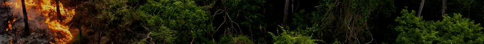 spot_img