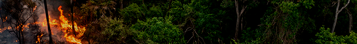 spot_img